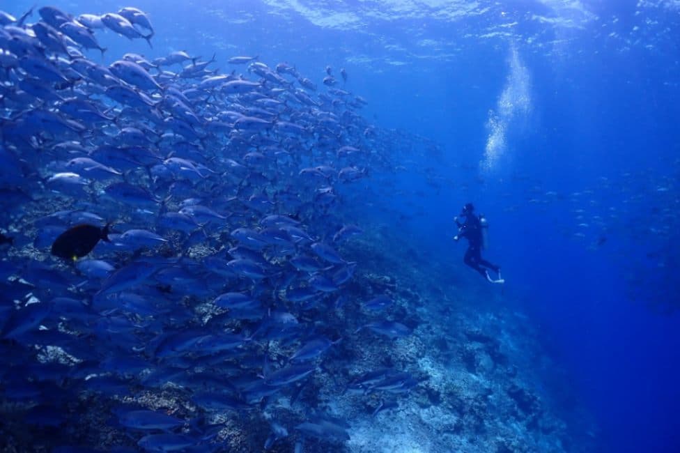 resort gallery tertiary image