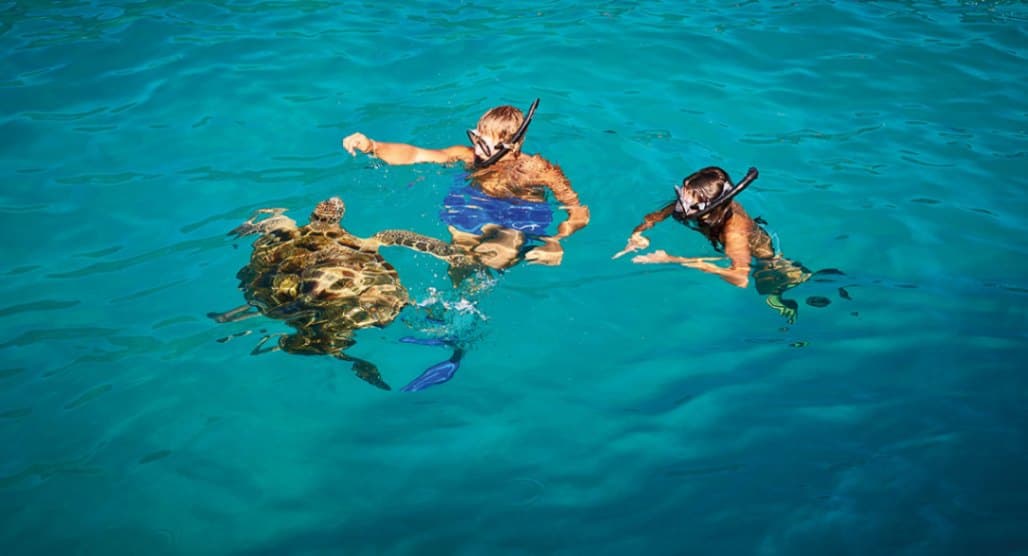 resort gallery secondary image